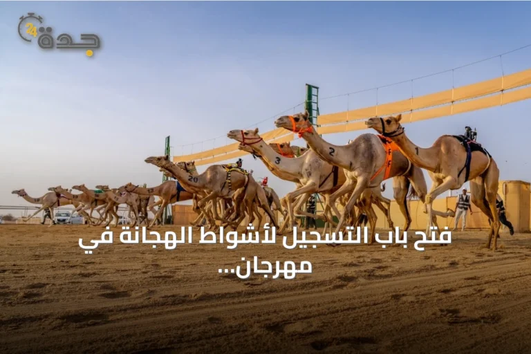 فتح باب التسجيل لأشواط الهجانة في مهرجان ولي العهد للهجن 2026