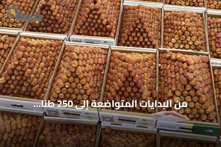 من البدايات المتواضعة إلى 250 طنًا يوميًا: قصة سبع عشرة نسخة لسوق تمور البكيرية
