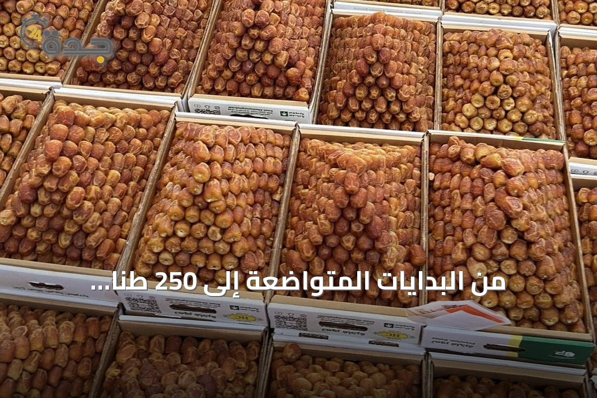 من البدايات المتواضعة إلى 250 طنًا يوميًا: قصة سبع عشرة نسخة لسوق تمور البكيرية