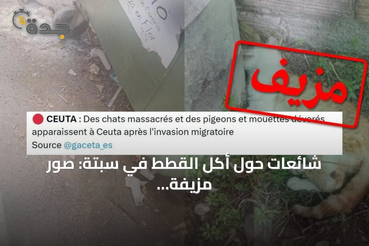 شائعات حول أكل القطط في سبتة: صور مزيفة وتحقق من الحقائق