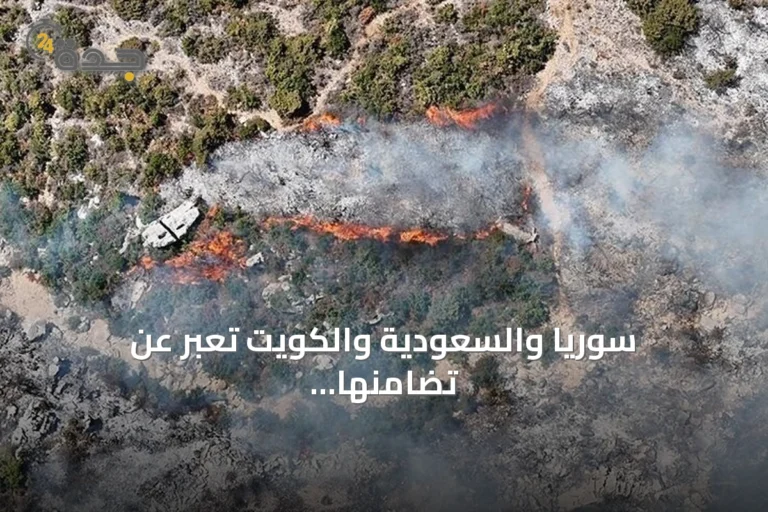 سوريا والسعودية والكويت تعبر عن تضامنها مع الجزائر بعد حرائق الغابات