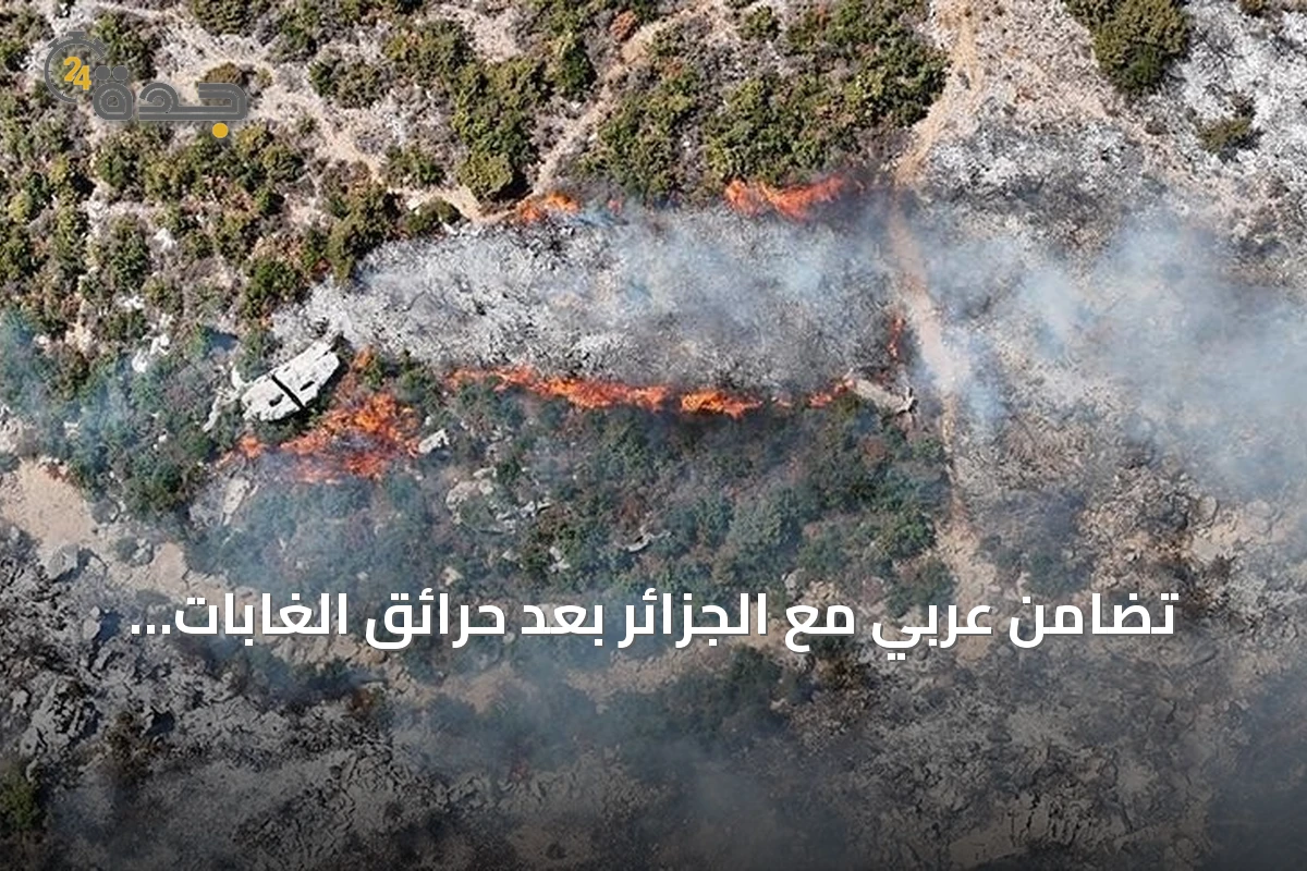 تضامن عربي مع الجزائر بعد حرائق الغابات شمال شرقي البلاد