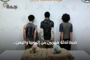 ضبط ثلاثة مهربين من إثيوبيا واليمن بحوزتهم 40 كيلوجرامًا من القات في قطاع الدائر بجازان 2 article 233370