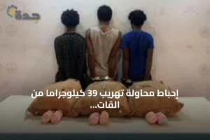 إحباط محاولة تهريب 39 كيلوجراماً من القات بضبط ثلاثة مخالفين إثيوبيين في عسير 3 article 236084