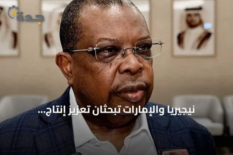 نيجيريا والإمارات تبحثان تعزيز إنتاج الكهرباء بـ5000 ميغاواط