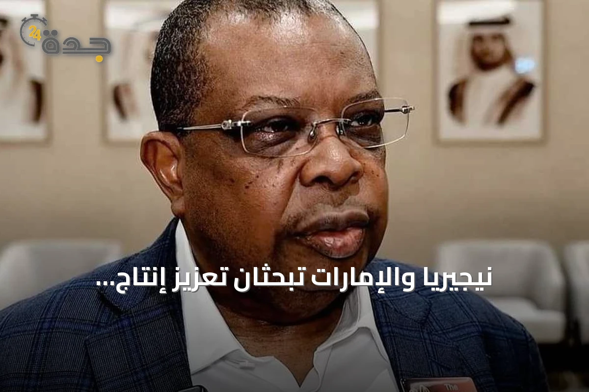 نيجيريا والإمارات تبحثان تعزيز إنتاج الكهرباء بـ5000 ميغاواط