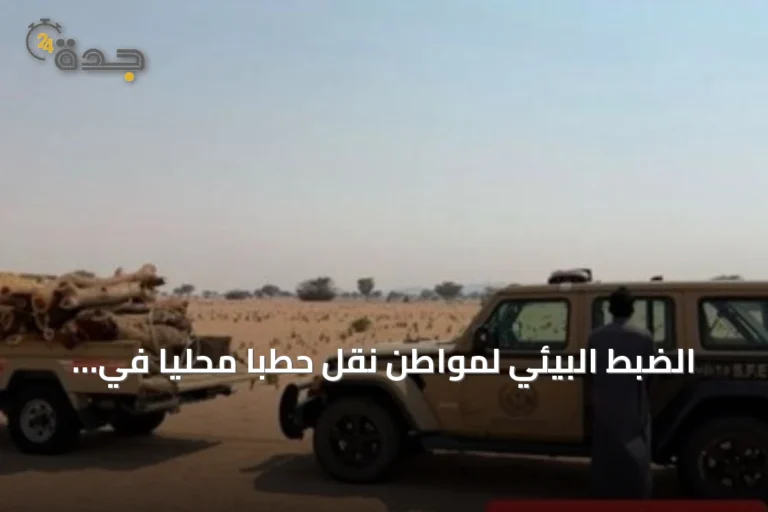الضبط البيئي لمواطن نقل حطبًا محليًا في المدينة المنورة