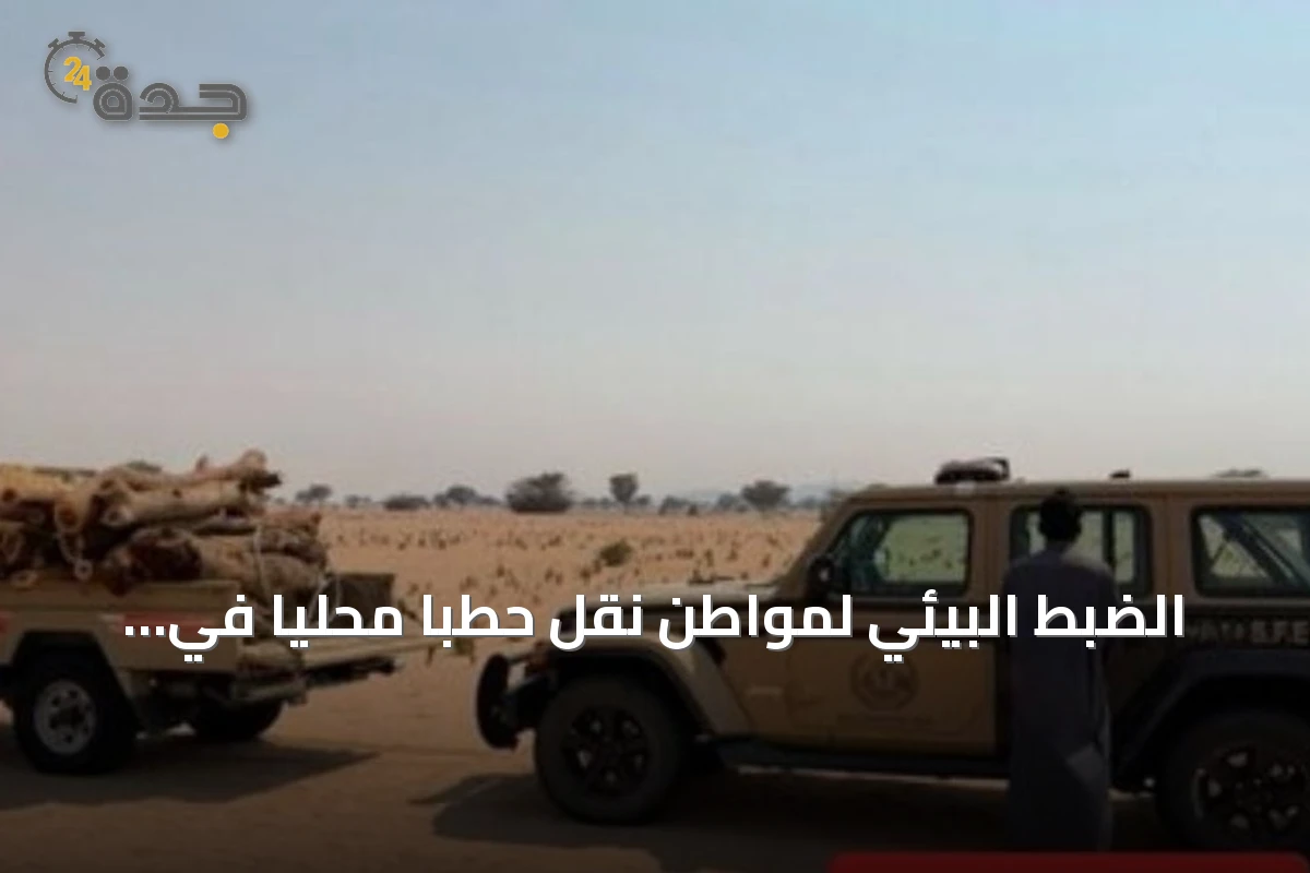 الضبط البيئي لمواطن نقل حطبًا محليًا في المدينة المنورة
