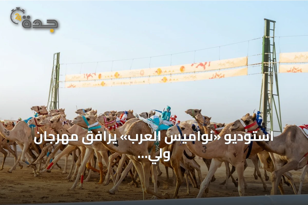 استوديو «نواميس العرب» يرافق مهرجان ولي العهد للهجن 2026 بتحليلات حية