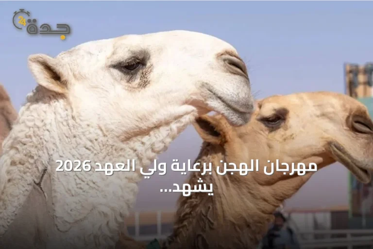 مهرجان الهجن برعاية ولي العهد 2026 يشهد أولى منافسات المزاين