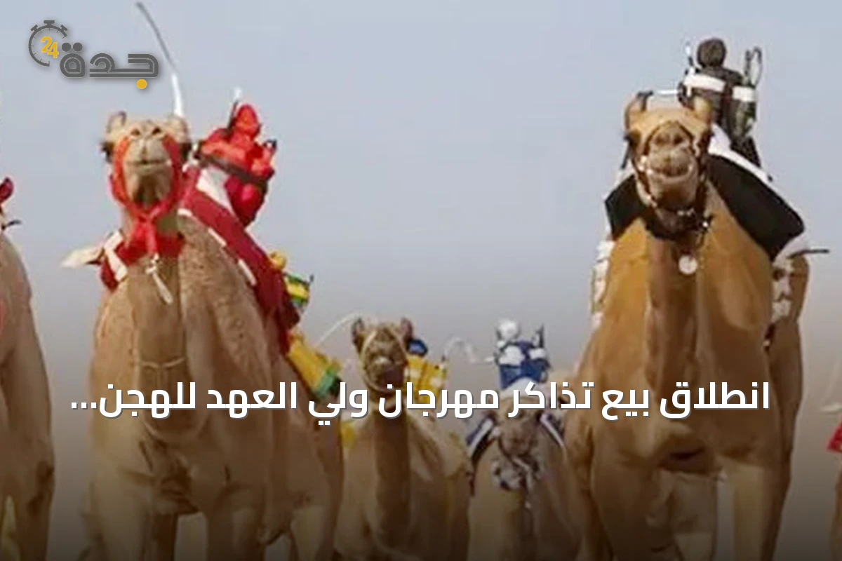 انطلاق بيع تذاكر مهرجان ولي العهد للهجن 2026 عبر منصة وي بوك