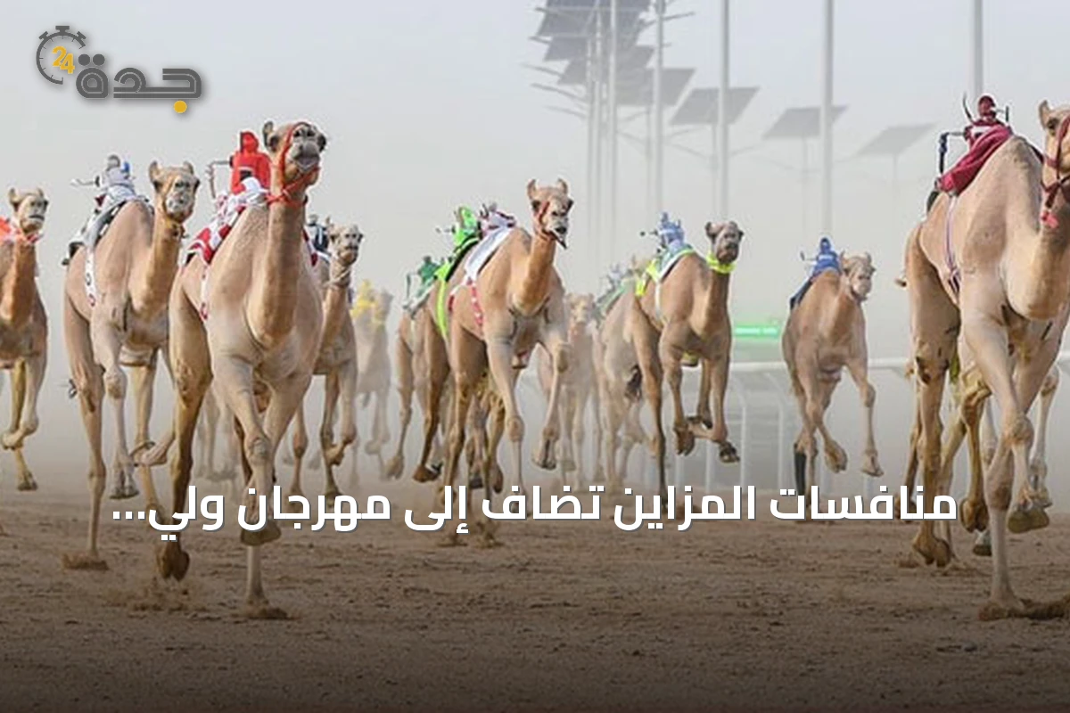 منافسات المزاين تُضاف إلى مهرجان ولي العهد للهجن في نسخته الثامنة 2026