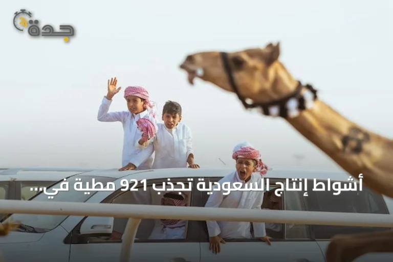 أشواط إنتاج السعودية تجذب 921 مطية في افتتاح مهرجان ولي العهد للهجن 2026