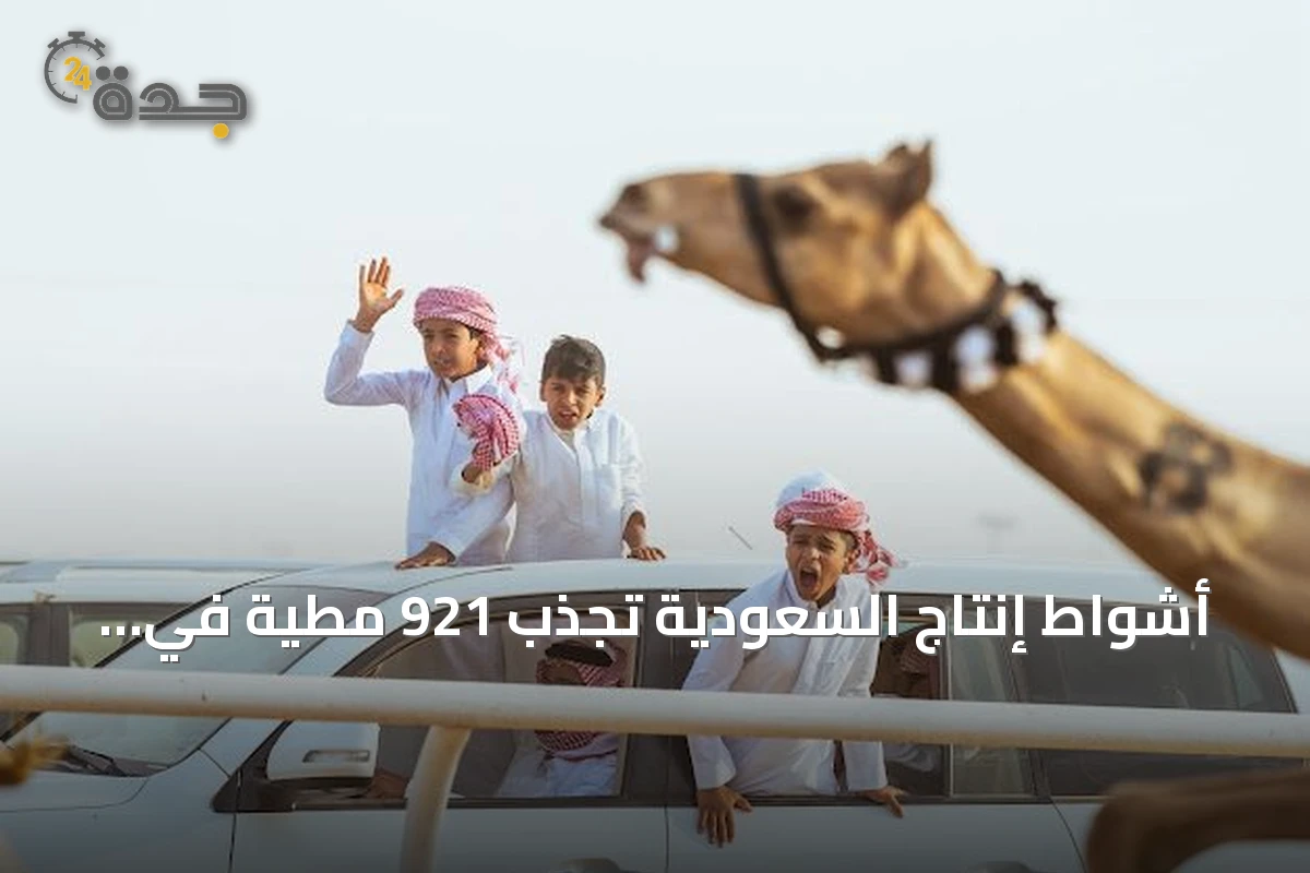 أشواط إنتاج السعودية تجذب 921 مطية في افتتاح مهرجان ولي العهد للهجن 2026