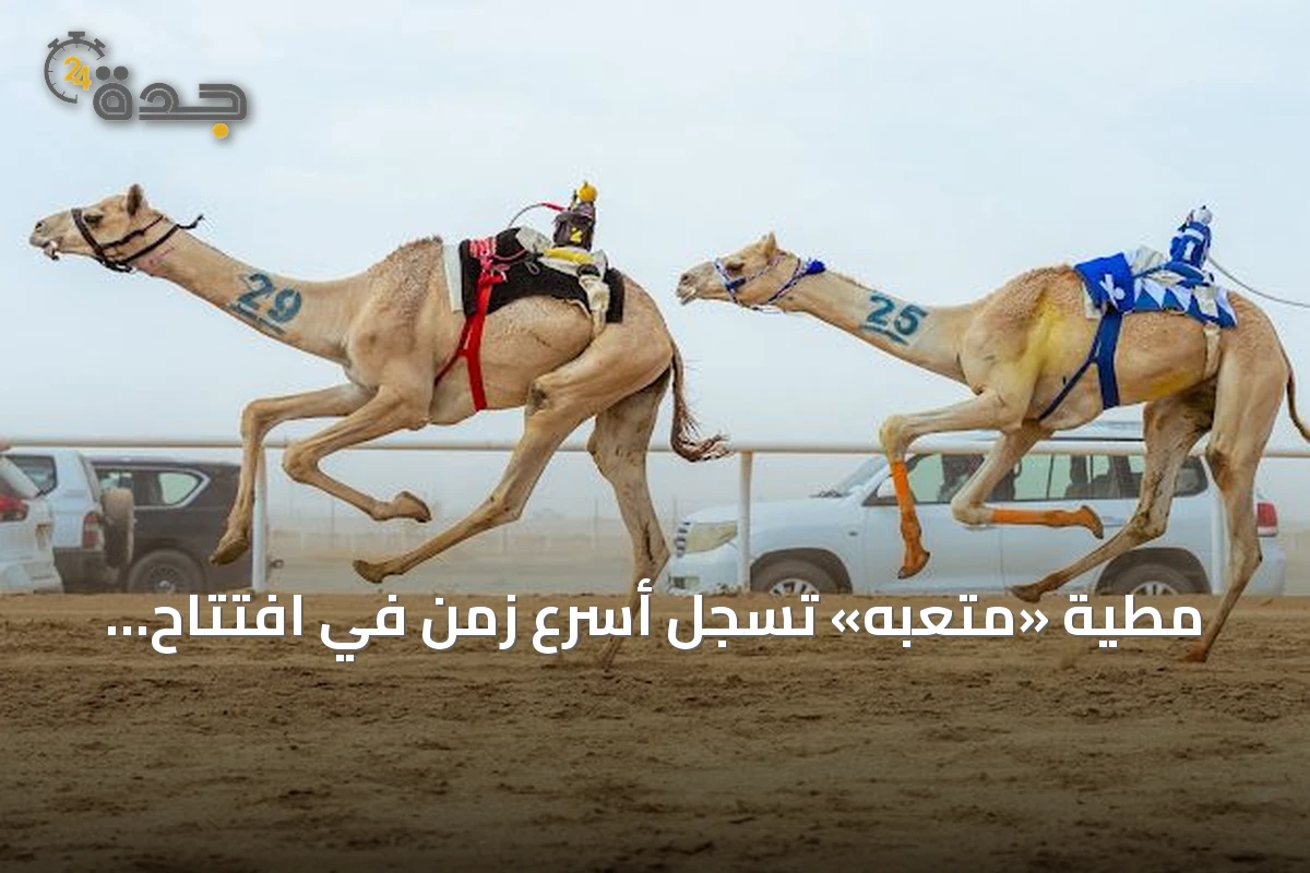 مطية «متعبه» تسجل أسرع زمن في افتتاح مهرجان ولي العهد للهجن
