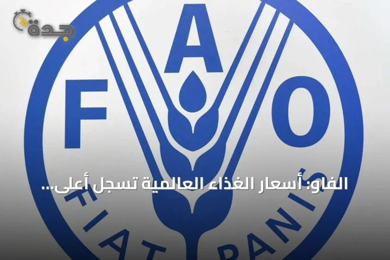 الفاو: أسعار الغذاء العالمية تسجل أعلى مستوى منذ أواخر 2022 بسبب الطقس والحروب