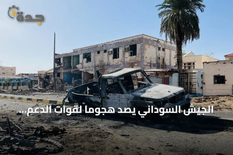 الجيش السوداني يصد هجومًا لقوات الدعم السريع والحركة الشعبية بمنطقة البركة