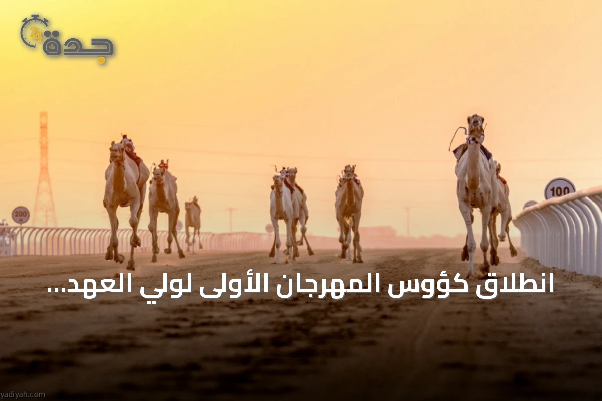 انطلاق كؤوس المهرجان الأولى لولي العهد للهجن وجوائز تتجاوز ستة ملايين ريال