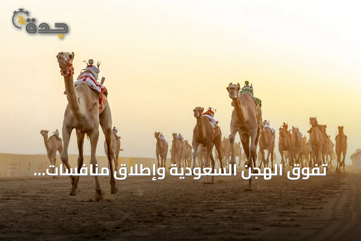 تفوق الهجن السعودية وإطلاق منافسات المزاين في مهرجان ولي العهد للهجن 2026