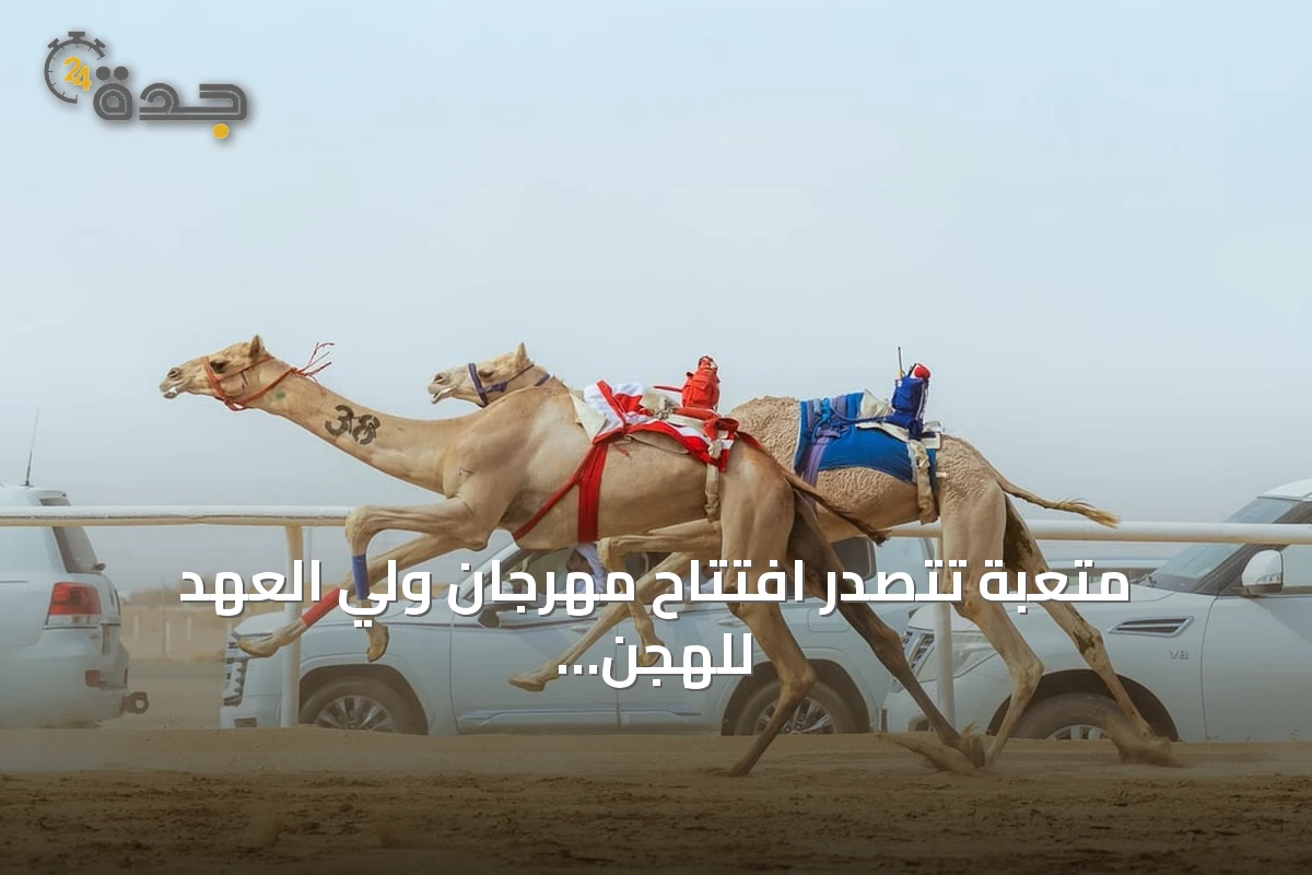 متعبة تتصدر افتتاح مهرجان ولي العهد للهجن بالطائف بأفضل زمن