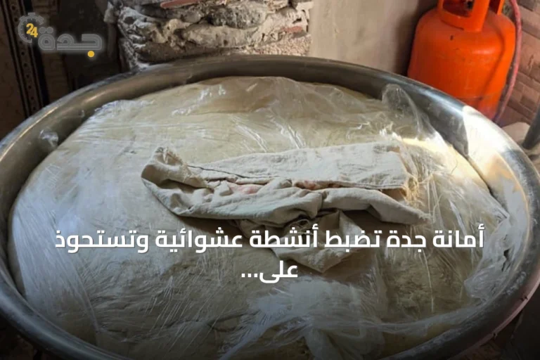 أمانة جدة تضبط أنشطة عشوائية وتستحوذ على 3 أطنان غذاء و275 دجاجة في مسالخ غير نظامية