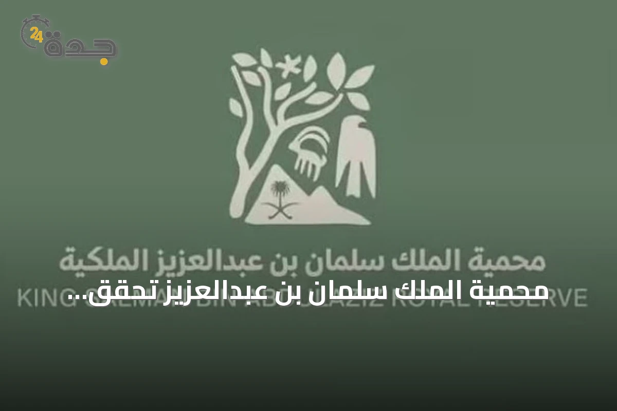 محمية الملك سلمان بن عبدالعزيز تحقق إنجازات غير مسبوقة في إحياء أعداد النسور وتعزيز التنوع البيئي