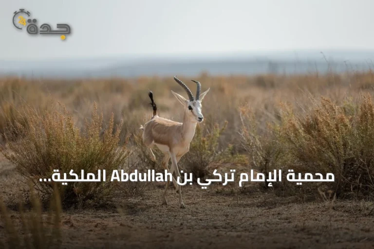 محمية الإمام تركي بن Abdullah الملكية: تنوع بيئي استثنائي شمال شرق السعودية