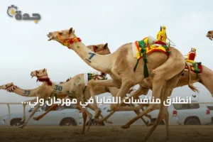 انطلاق منافسات اللقايا في مهرجان ولي العهد للهجن بجوائز تجاوز 10.8 مليون ريال 2 article 259285