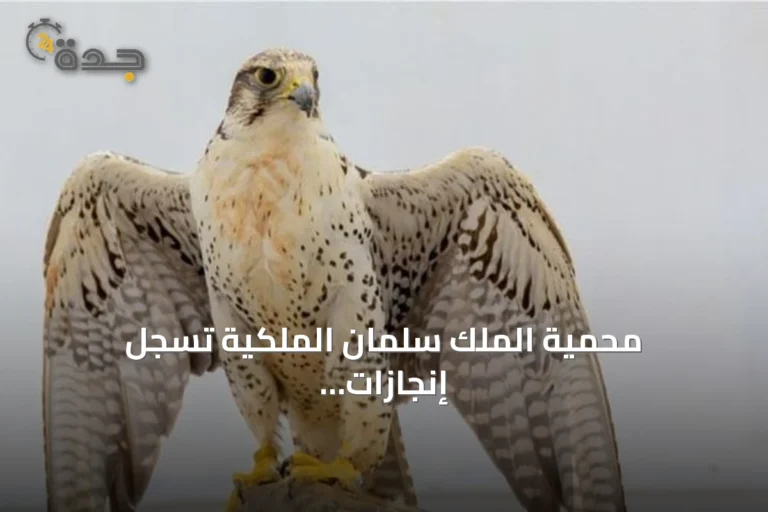 محمية الملك سلمان الملكية تسجل إنجازات بارزة في إحياء النسور