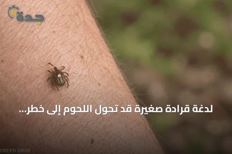 لدغة قرادة صغيرة قد تحول اللحوم إلى خطر حساسية واكتشاف علمي يفتح باباً للعلاج