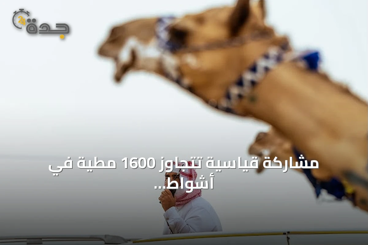 مشاركة قياسية تتجاوز 1600 مطية في أشواط إنتاج السعودية بمهرجان ولي العهد للهجن 2026