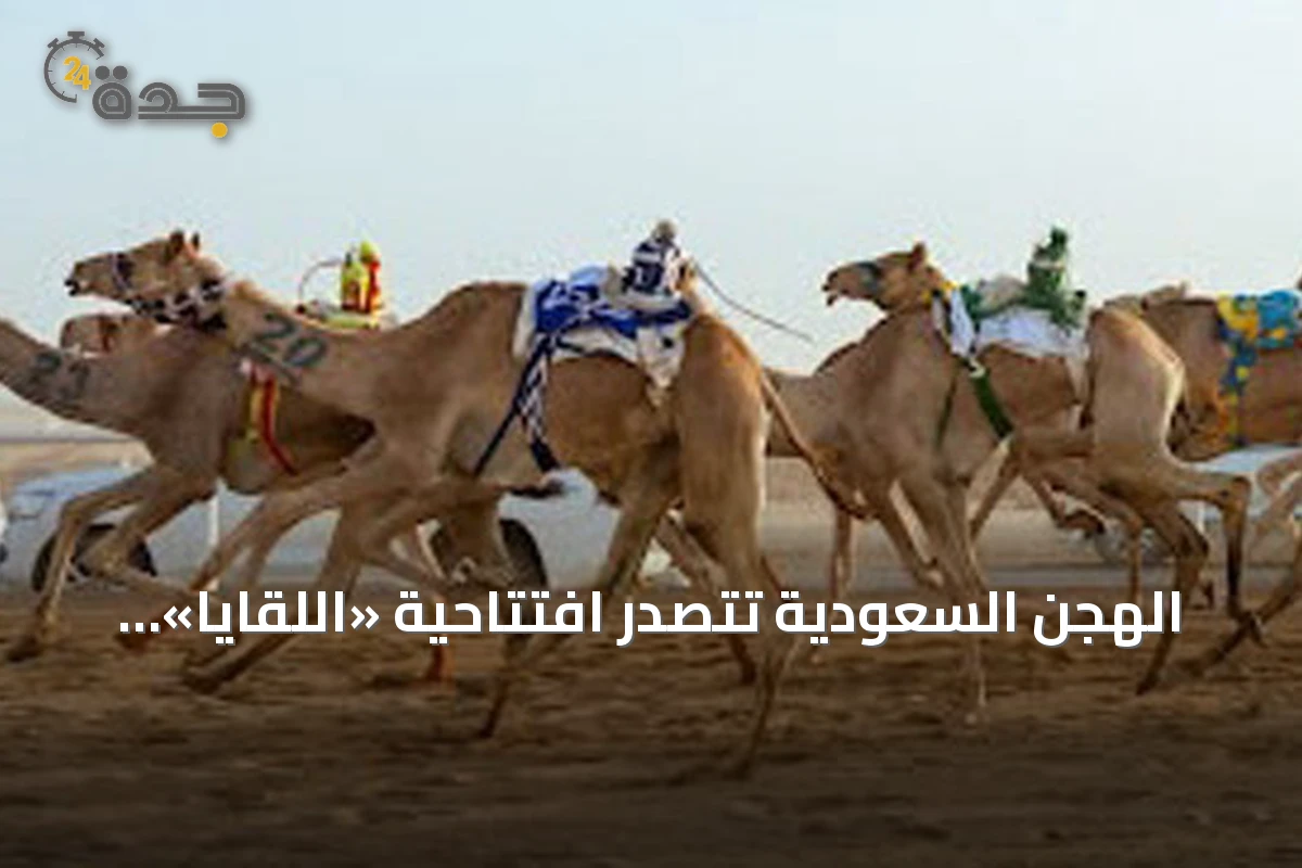 الهجن السعودية تتصدر افتتاحية «اللقايا» بمهرجان ولي العهد 2026