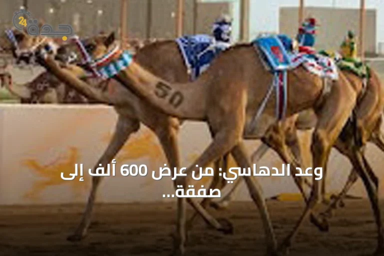 وعد الدهاسي: من عرض 600 ألف إلى صفقة بملوني ريال