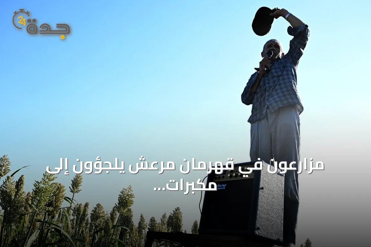 مزارعون في قهرمان مرعش يلجؤون إلى مكبرات الصوت لطرد العصافير عن حقول الدخن
