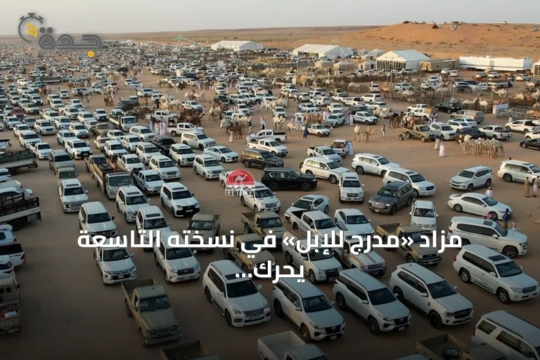 مزاد «مدرج للإبل» في نسخته التاسعة يحرّك الاقتصاد المحلي بالقصيم
