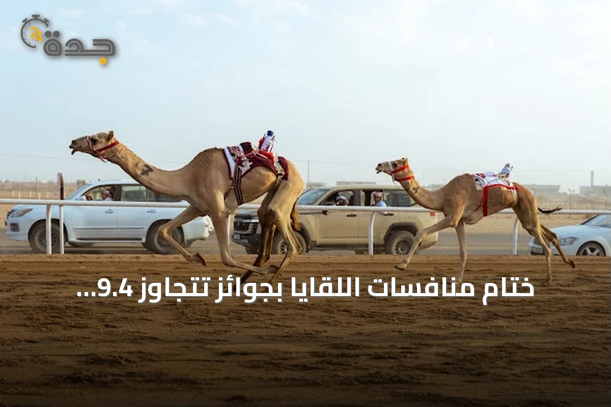 ختام منافسات اللقايا بجوائز تتجاوز 9.4 مليون ريال سعودي في مهرجان ولي العهد للهجن