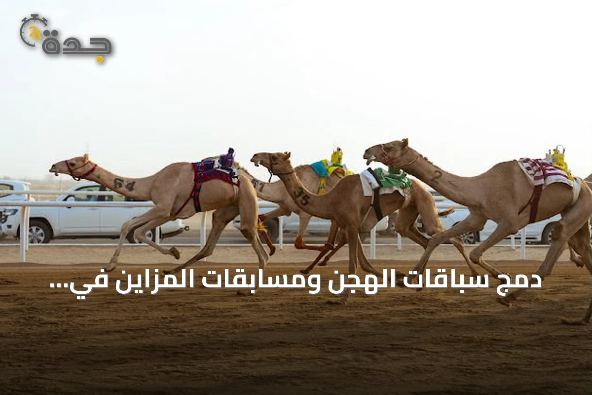 دمج سباقات الهجن ومسابقات المزاين في مهرجان ولي العهد 2026 يعزز الاستثمار والتراث
