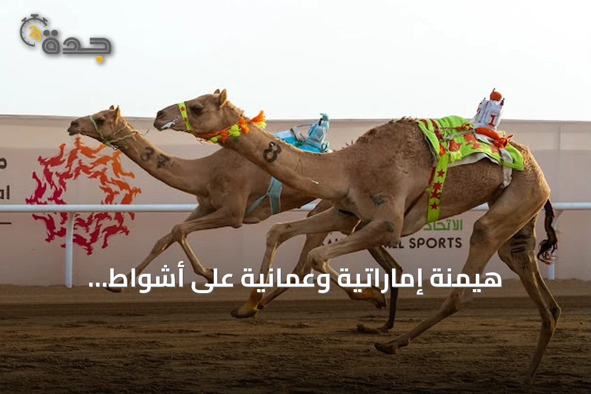 هيمنة إماراتية وعُمانية على أشواط «اللقايا» في مهرجان ولي العهد للهجن.. والسعوديون يخطفون ألقاب «المزاين»
