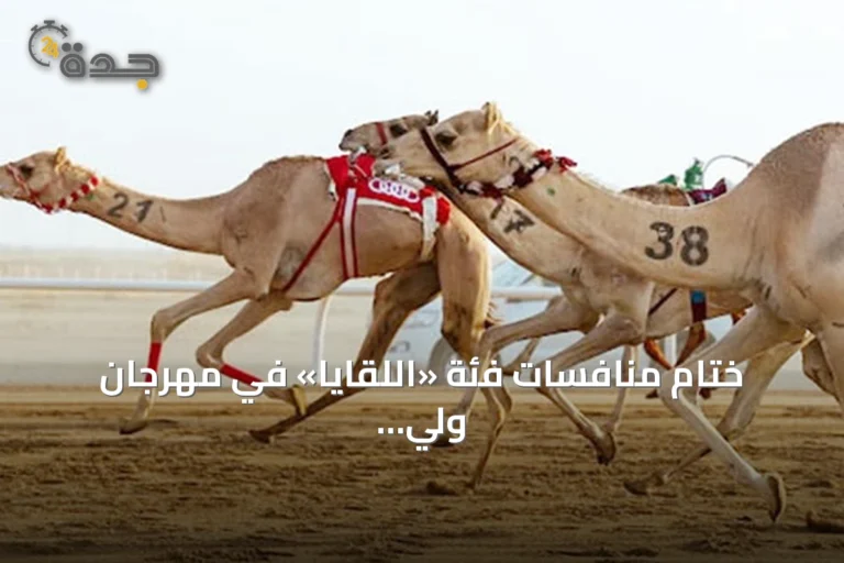 ختام منافسات فئة «اللقايا» في مهرجان ولي العهد للهجن 2026 بجوائز تتجاوز 9.4 مليون ريال