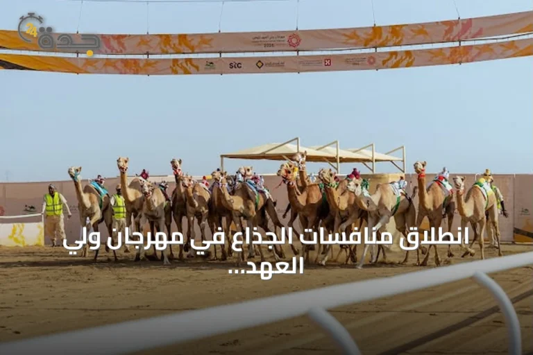 انطلاق منافسات الجذاع في مهرجان ولي العهد للهجن 2026