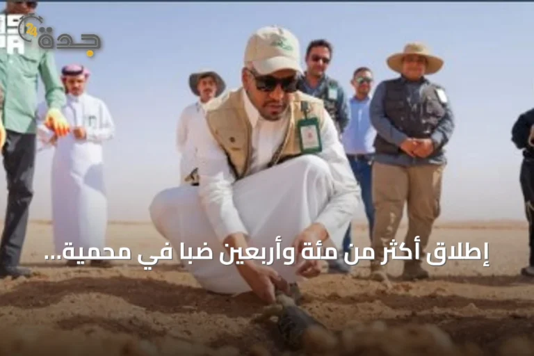 إطلاق أكثر من مئة وأربعين ضبًّا في محمية الإمام عبدالعزيز بن محمد الملكية