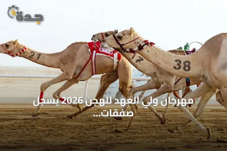 مهرجان ولي العهد للهجن 2026 يسجل صفقات تتجاوز 60 مليون ريال