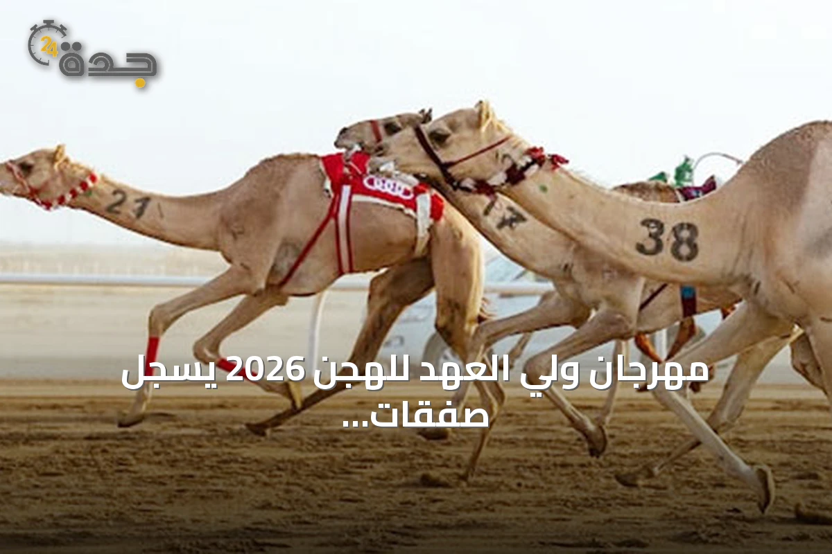 مهرجان ولي العهد للهجن 2026 يسجل صفقات تتجاوز 60 مليون ريال