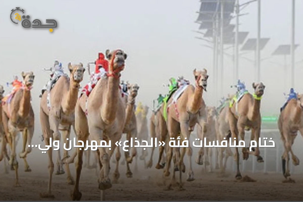 ختام منافسات فئة «الجذاع» بمهرجان ولي العهد للهجن 2026 وجوائز تتجاوز 6.98 مليون ريال