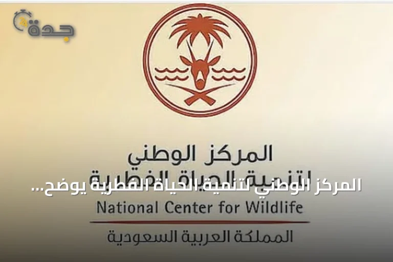 المركز الوطني لتنمية الحياة الفطرية يوضح تنظيمات أوقات الصيد ويؤكد على الالتزام بها
