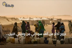 نزوح أكثر من ألف سوداني من ولايتي النيل الأزرق وشمال دارفور بسبب تدهور الأمن 3 article 277633