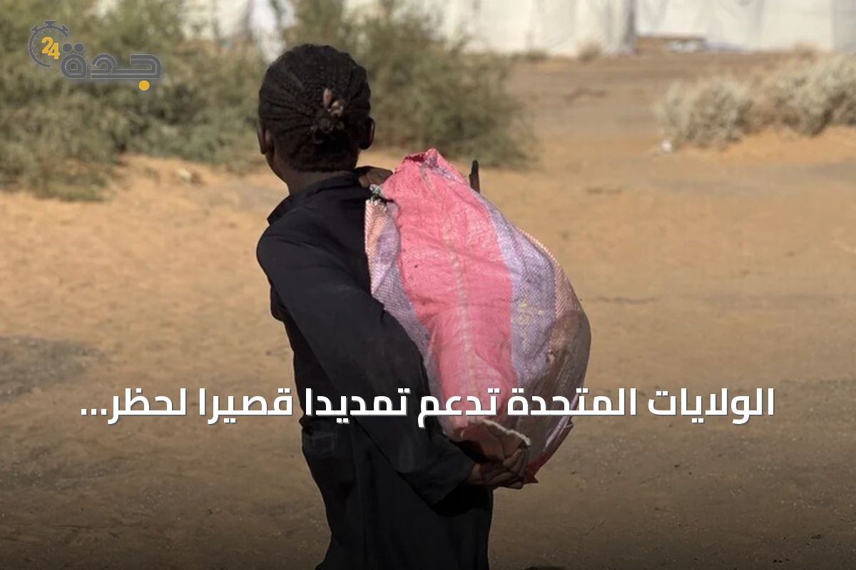 الولايات المتحدة تدعم تمديداً قصيراً لحظر الأسلحة في السودان
