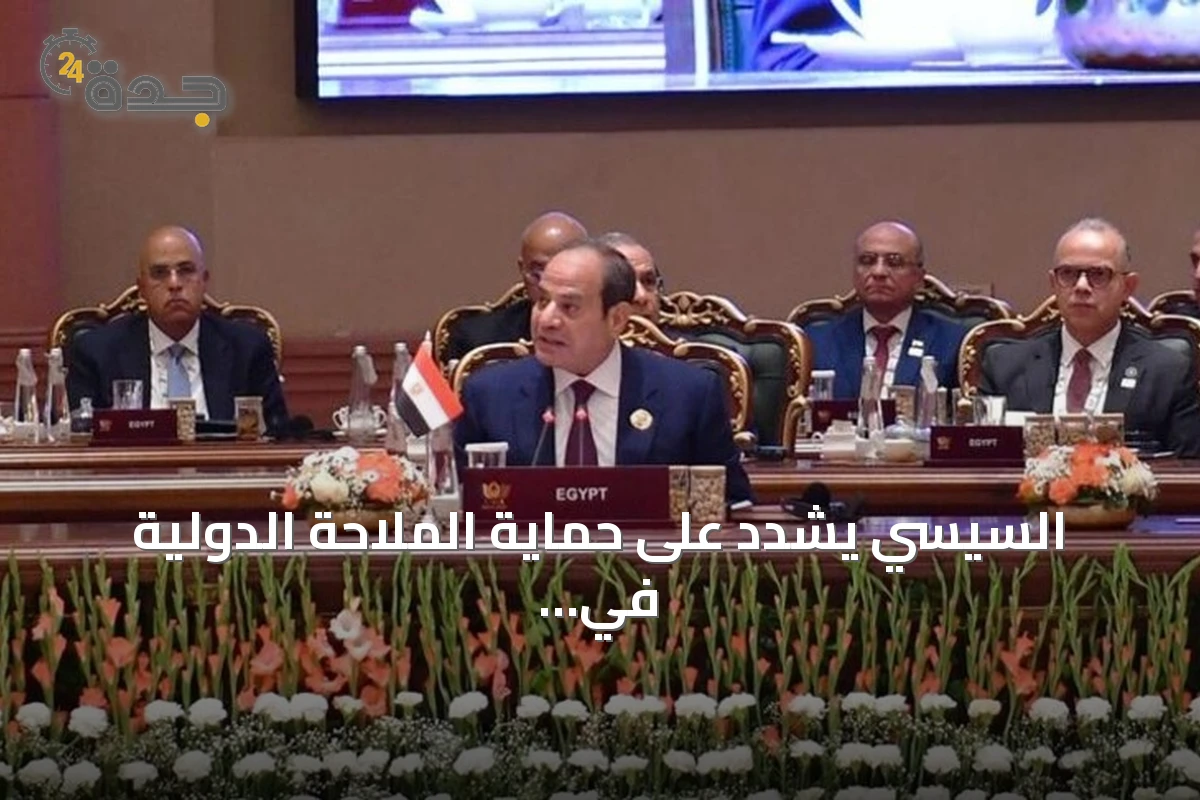السيسي يشدد على حماية الملاحة الدولية في ظل تطورات المنطقة