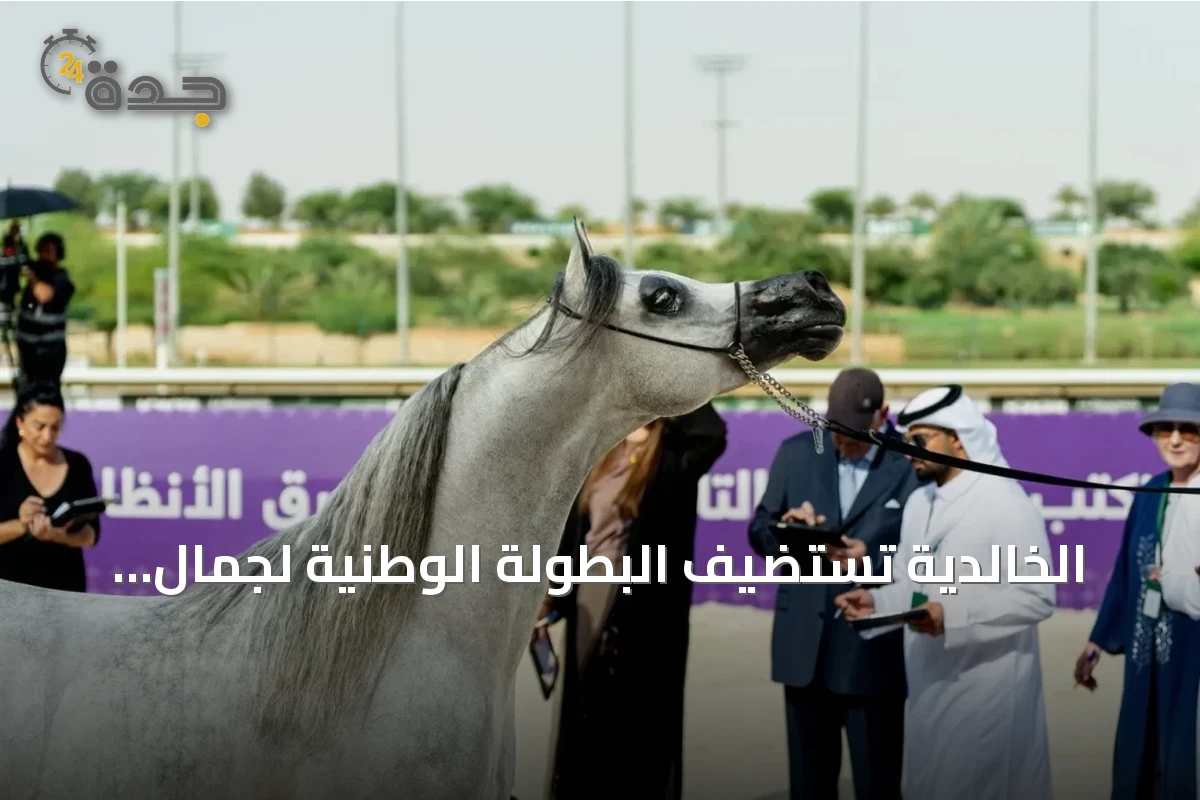 الخالدية تستضيف البطولة الوطنية لجمال الخيل العربية الأصيلة أواخر سبتمبر 2026