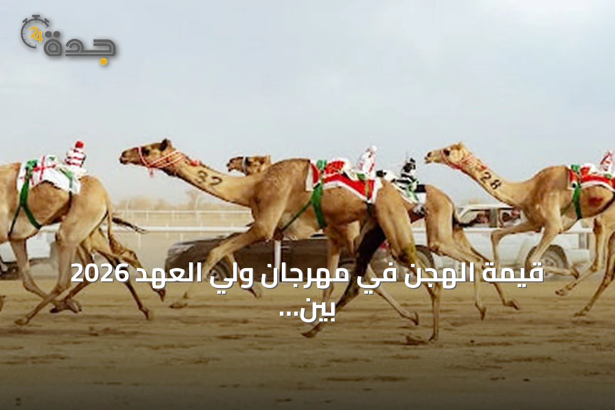 قيمة الهجن في مهرجان ولي العهد 2026 بين 270 و492 مليون ريال